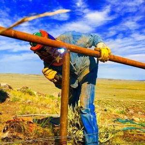 Meet your Posher, Levi